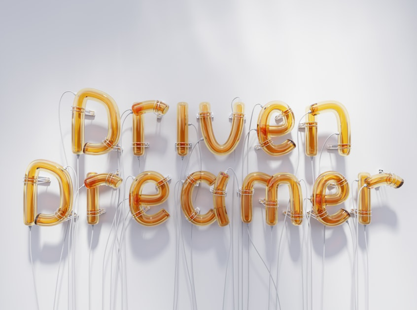 Immersive Festivals: Experience the Magic